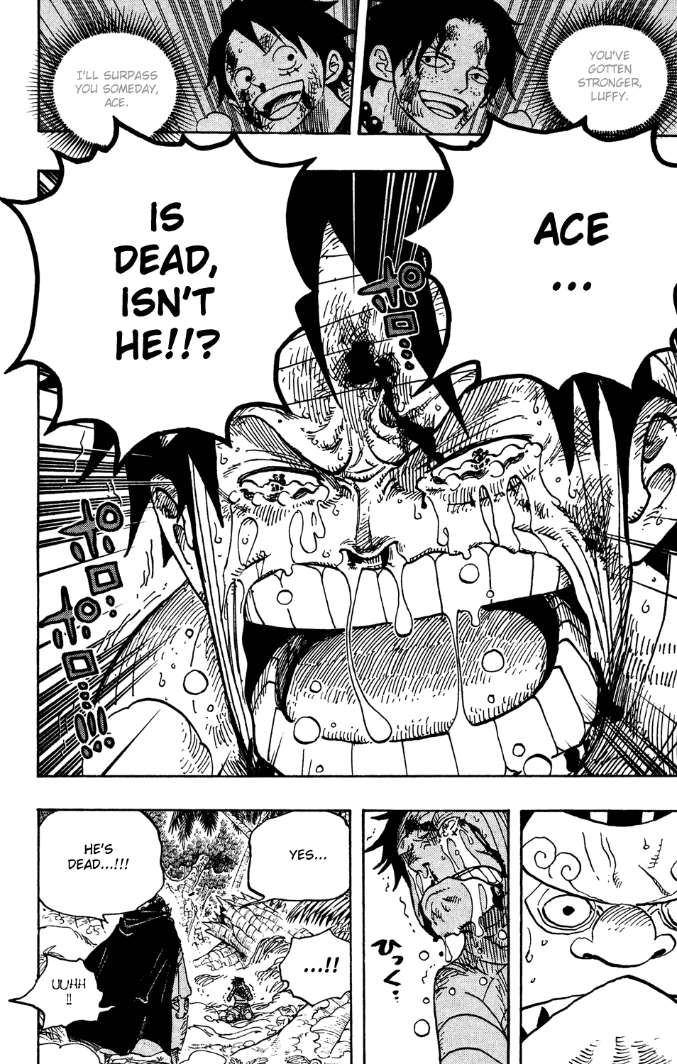 One Piece, Chapter 582 image 14